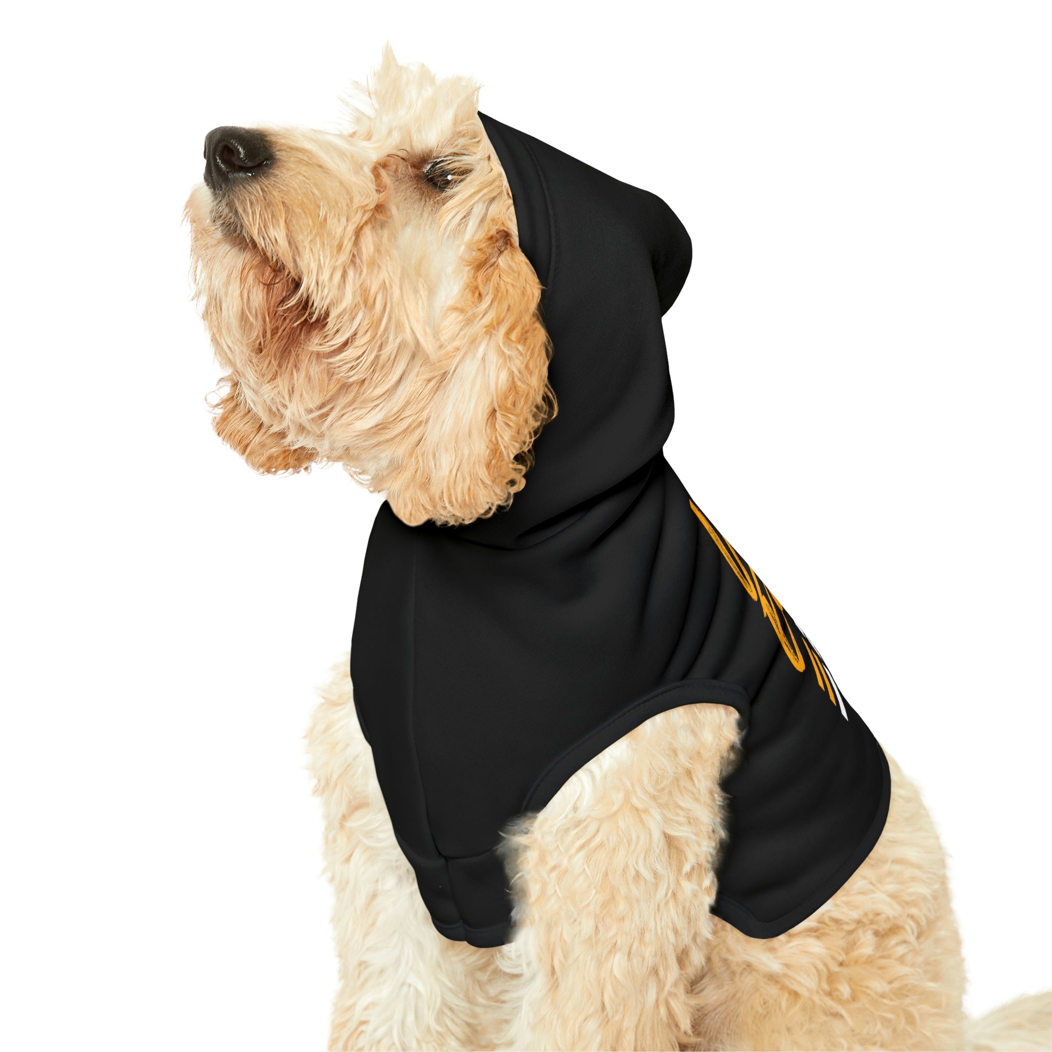 Dog Equity Hoodie