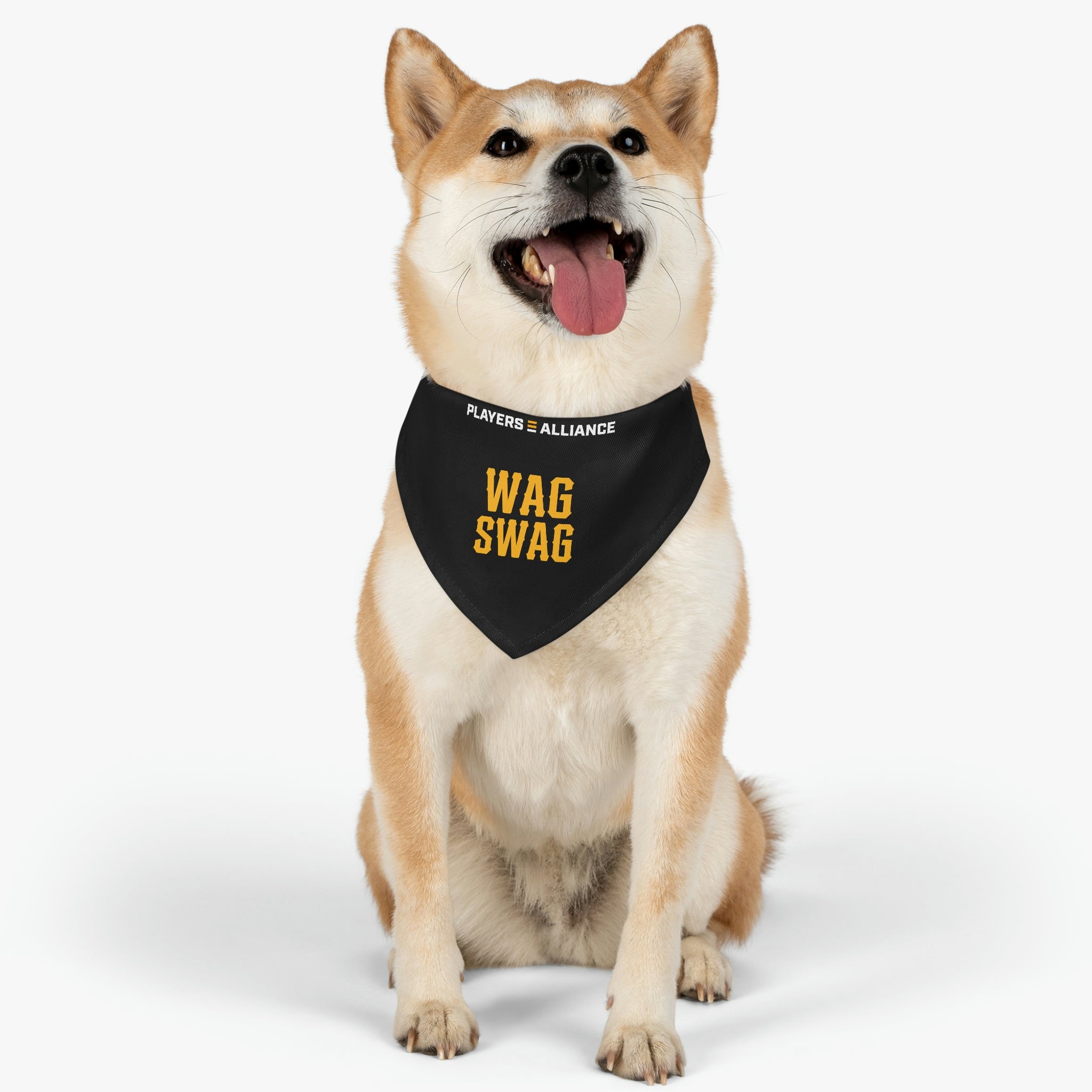 Wag Swag Bandana Dog Collar