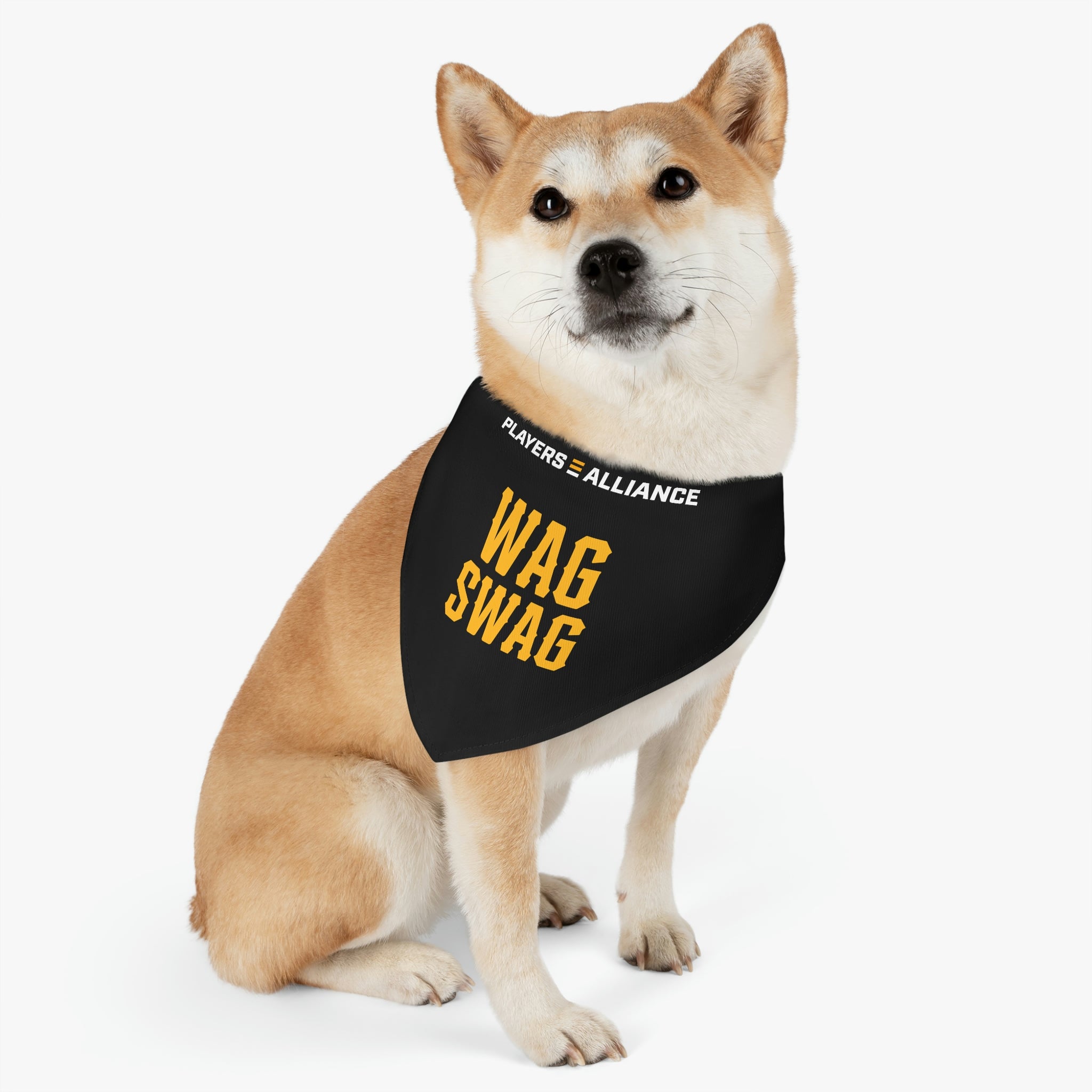 Wag Swag Bandana Dog Collar