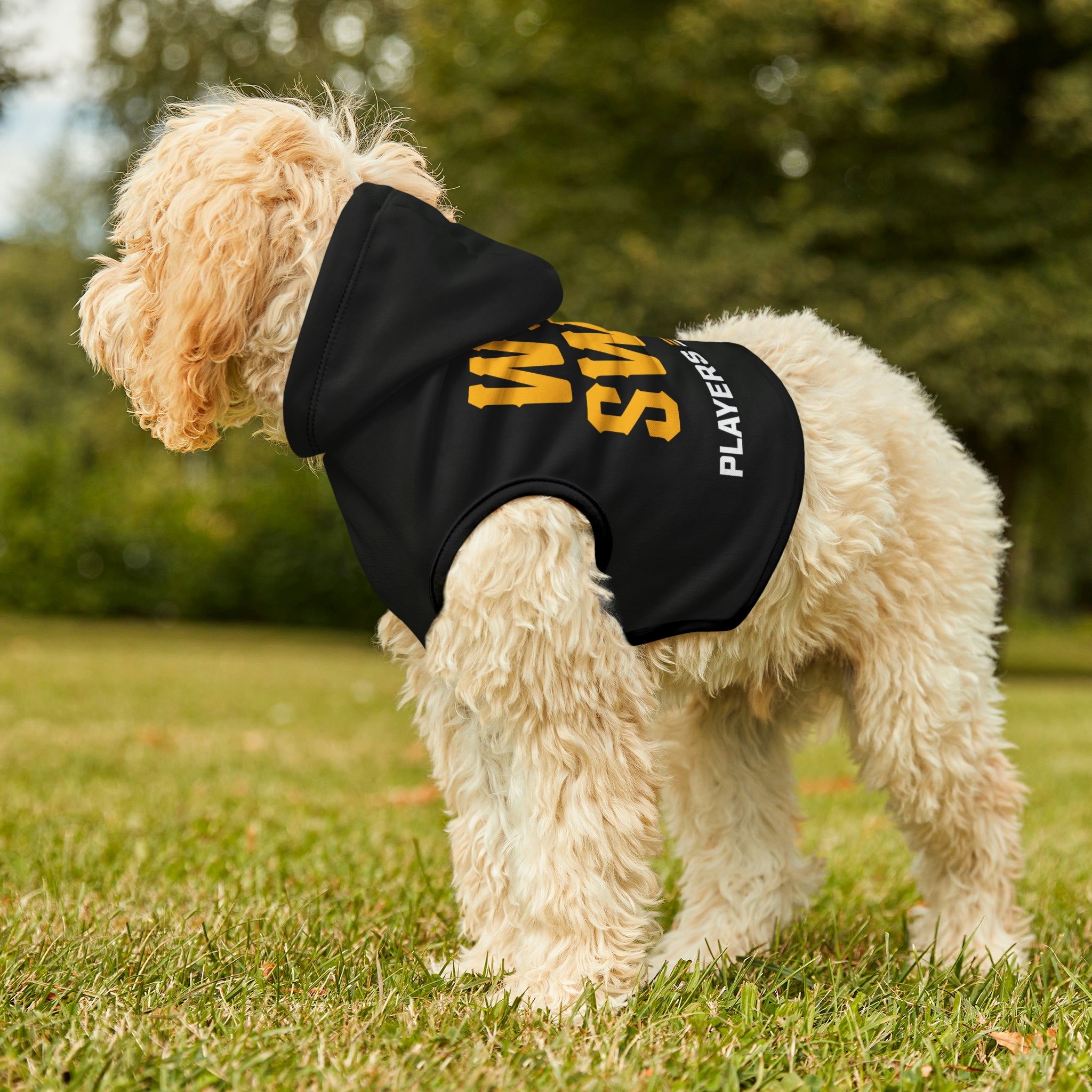 Wag Swag Dog Hoodie