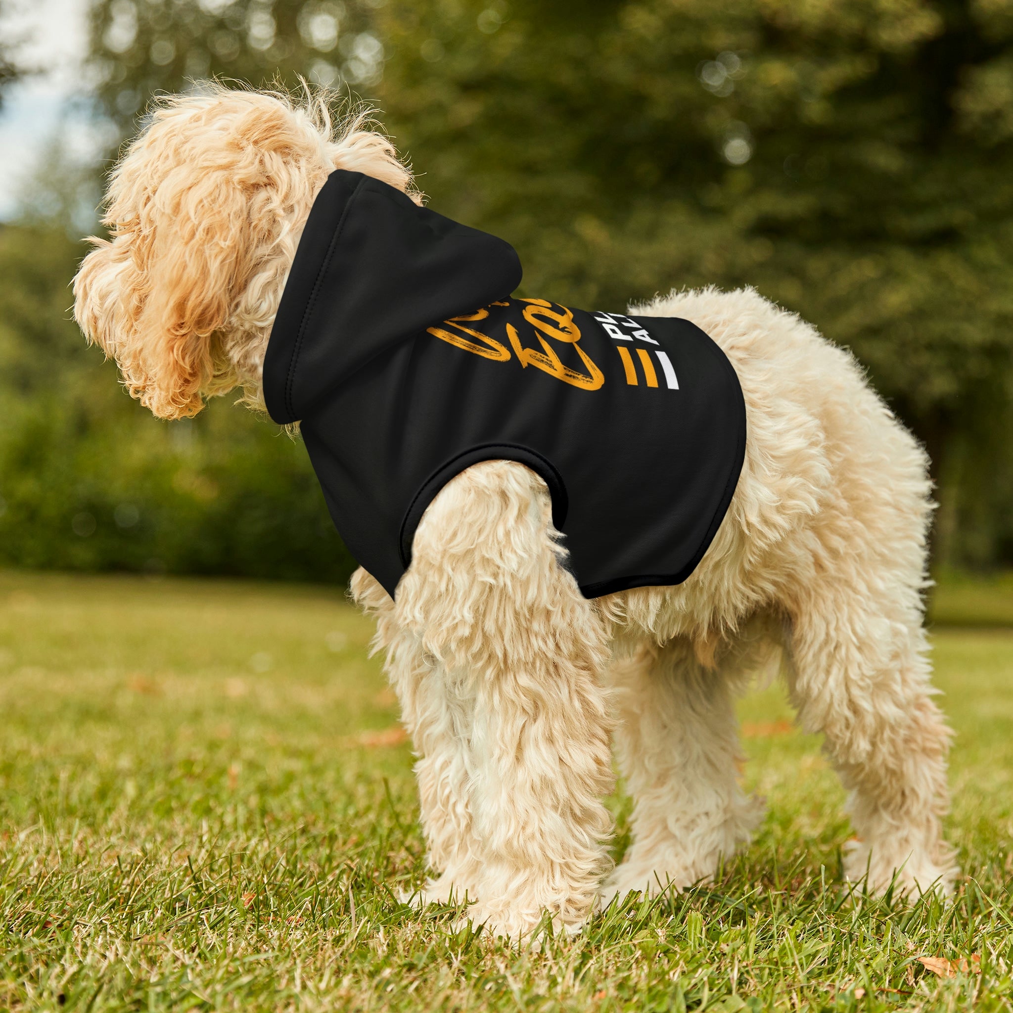 Dog Equity Hoodie