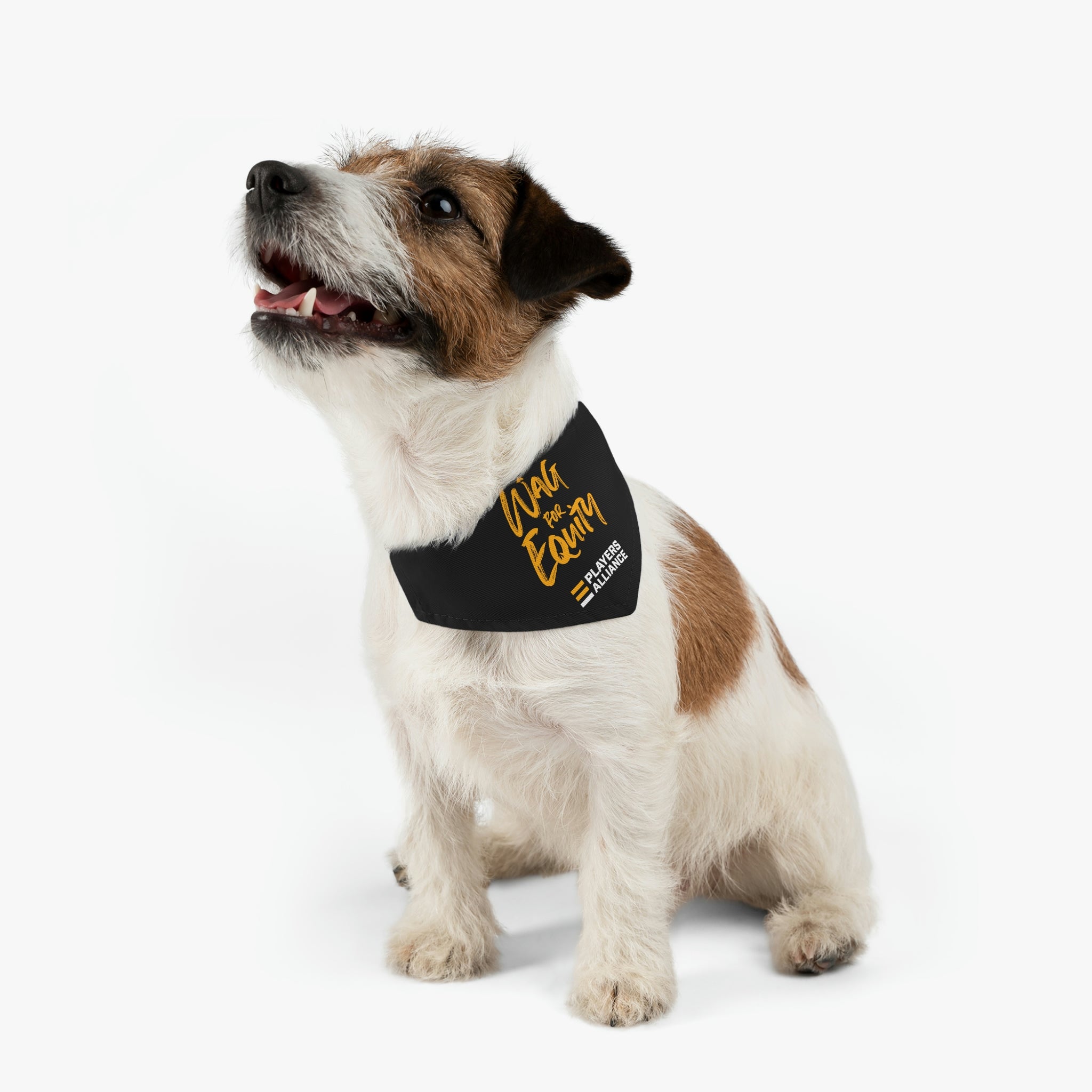 Equity Bandana Dog Collar
