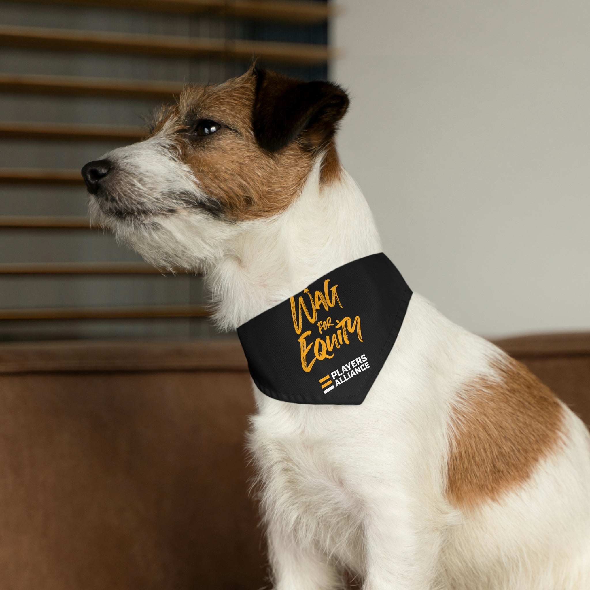 Equity Bandana Dog Collar