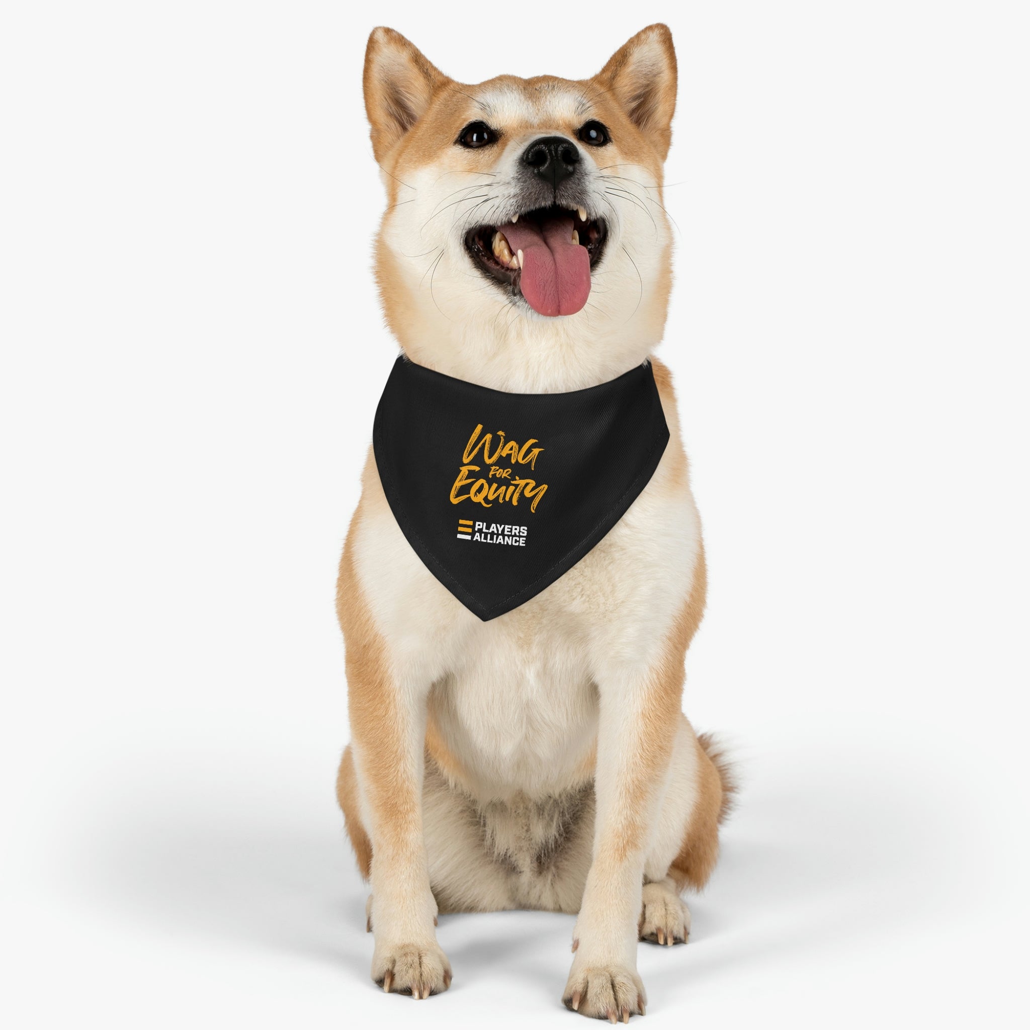 Equity Bandana Dog Collar