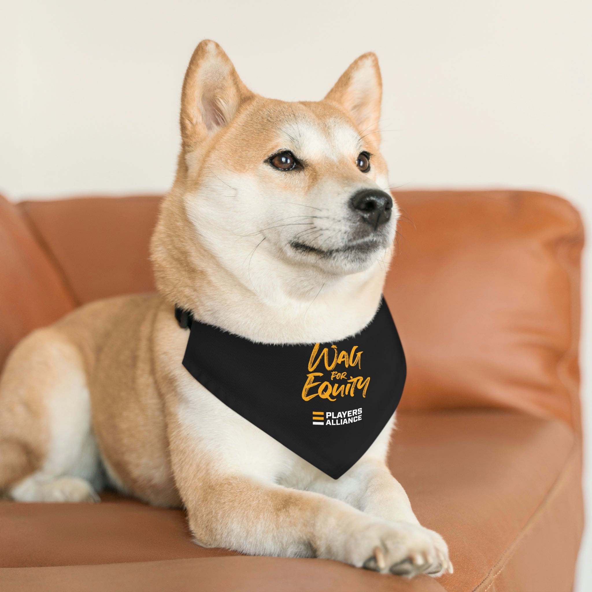 Equity Bandana Dog Collar